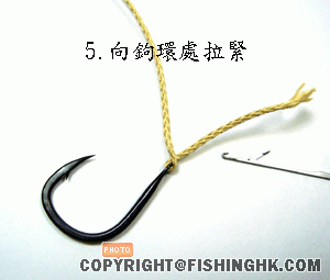5.gif