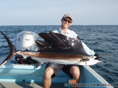 5th Sail on fly.jpg
