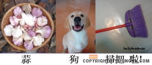 算九數吧啦.jpg