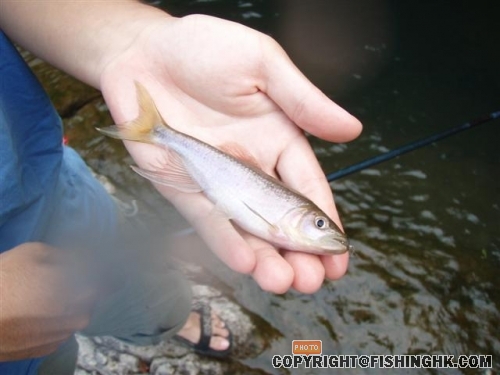 PB160052 (Small).JPG