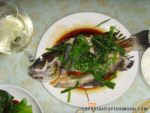 黑毛2.jpg