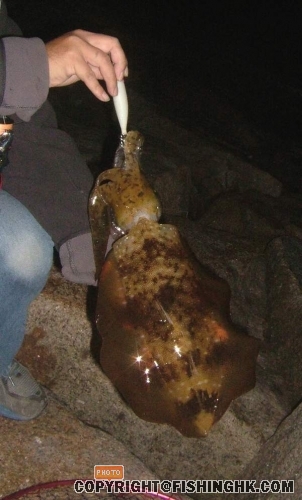 4.JPG