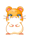 眼淚汪汪.gif