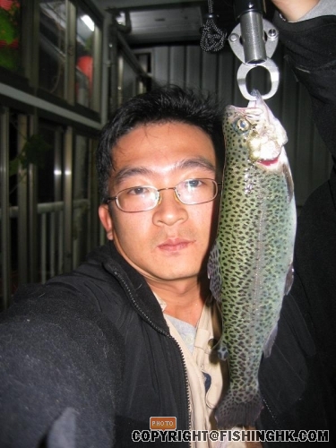 最美的一條魚