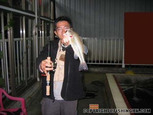 也有bass