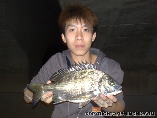 20081120265.jpg