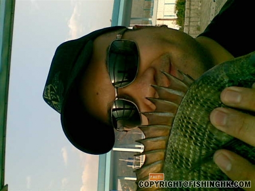 23112008150.jpg