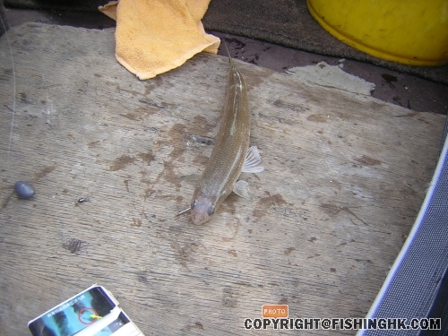 DSCN5402.JPG