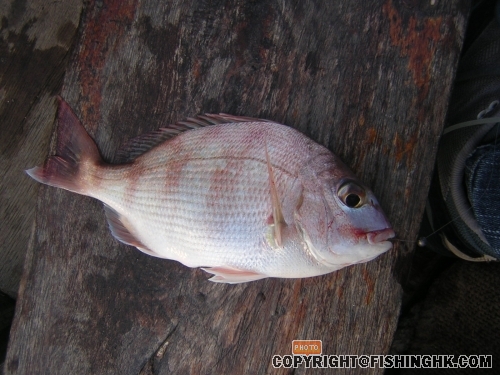 DSCN5410.JPG