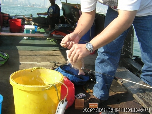 DSCN5406.JPG