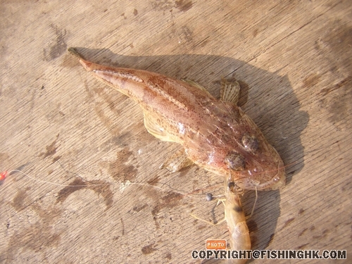DSCN5408.JPG