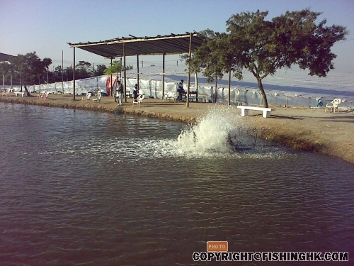 20081129053.jpg