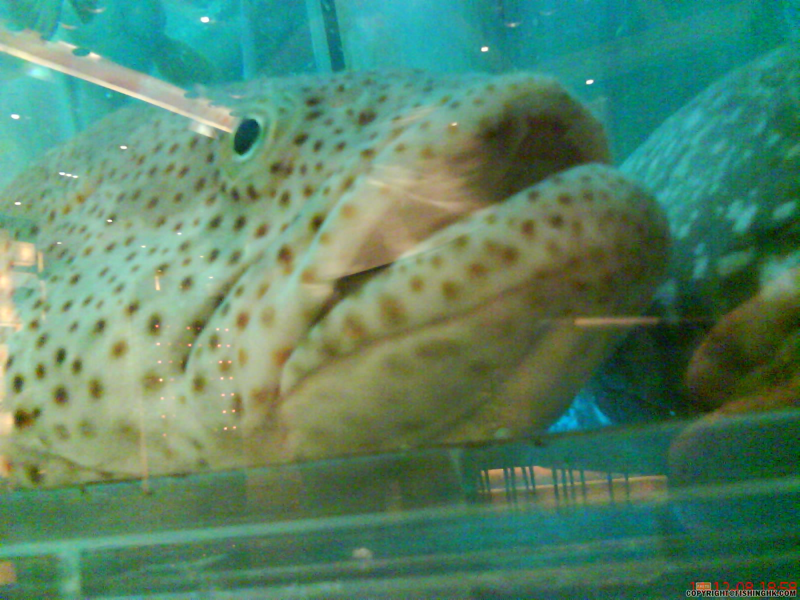 DSC00034.JPG
