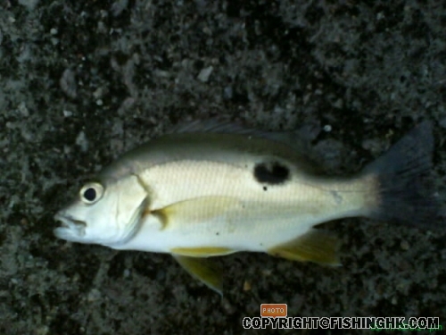 DSC00351.JPG