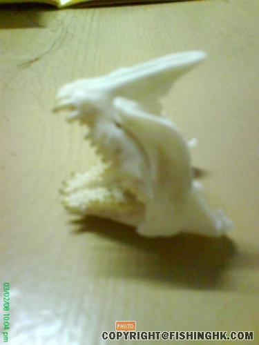 DSC00203.JPG