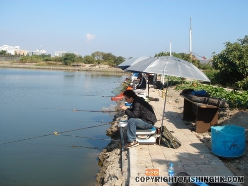 賽後的一片寧靜！ 004.jpg