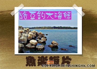 未命名 - 4.jpg