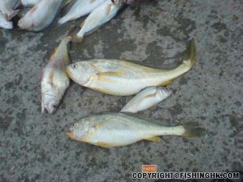 DSC00325.JPG