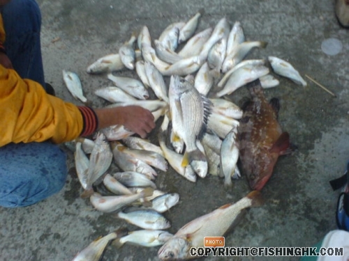DSC00324.JPG