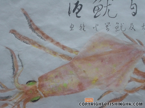 魷鱼拓
