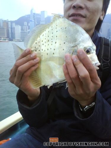 DSC00171.JPG