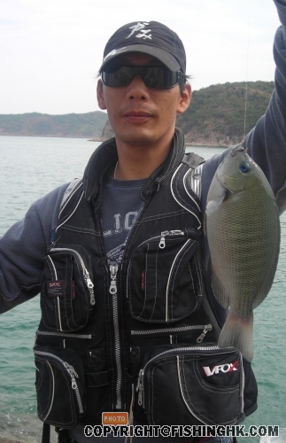 DSCN0950 - 複製.JPG