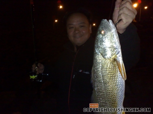 20081206194.jpg