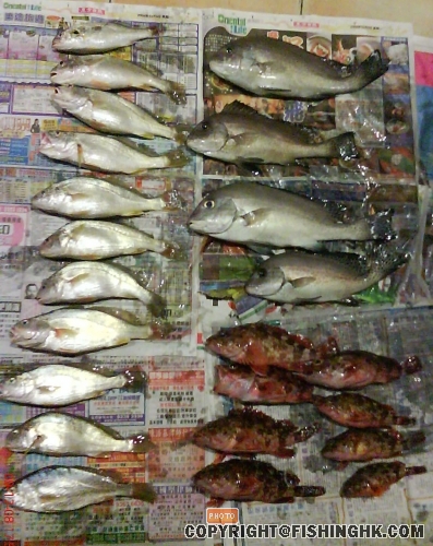 DSC00030.jpg