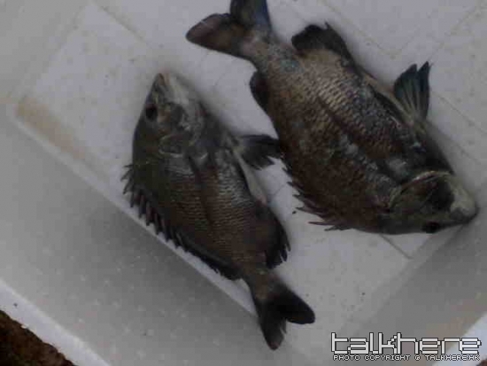 200901043115.jpg