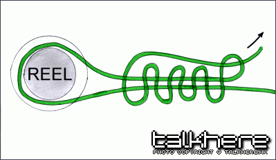 002_Knots-Backing-to-Reel.GIF
