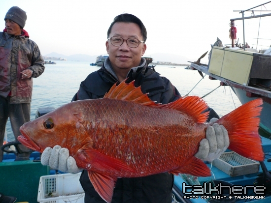 老友再中呢条大紅