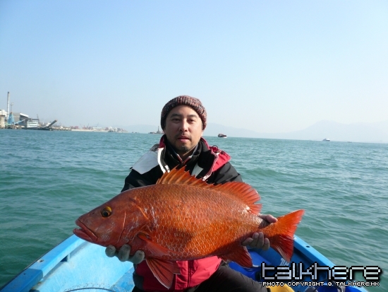 咁靚魚梗係要借來影個人魚合照