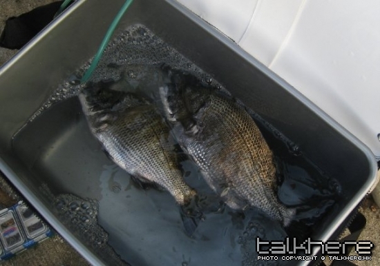 n1385033766_224150_9902[1].jpg