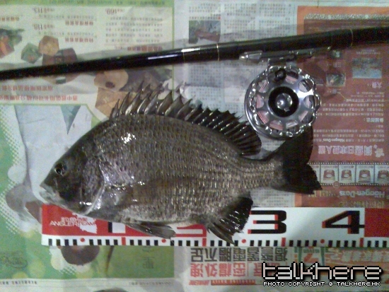 圖像133a.jpg
