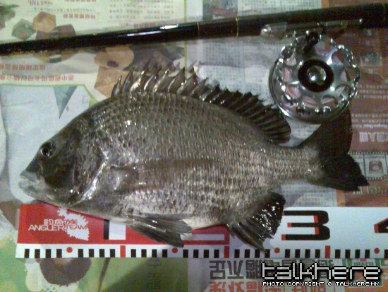 圖像119a.jpg