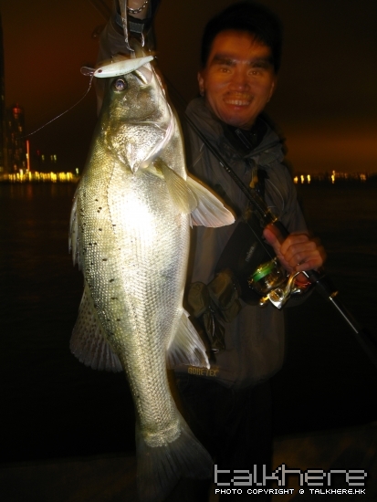 初二sea bass 008.jpg