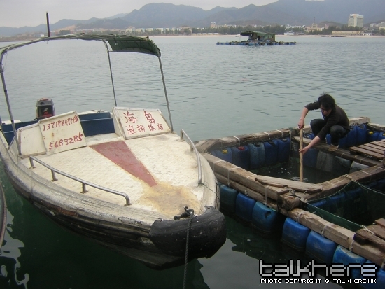 DSCN5528.JPG