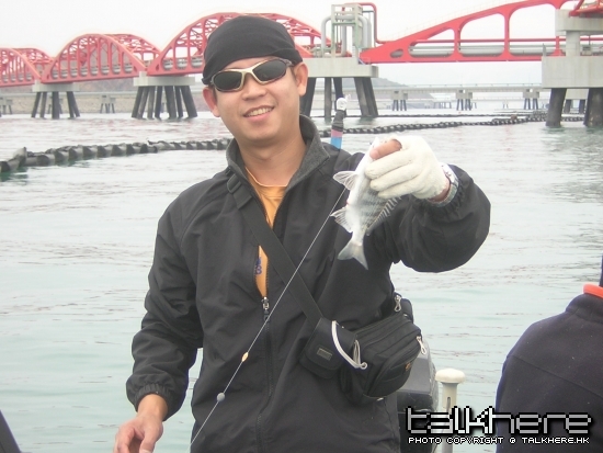DSCN5514.JPG