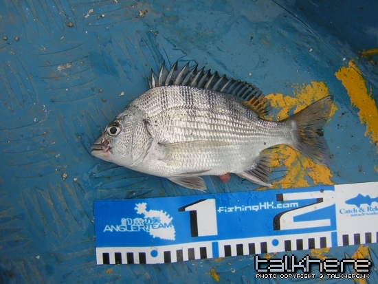 DSCN5513.JPG