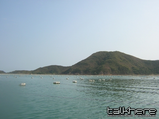 DSCN5565.JPG