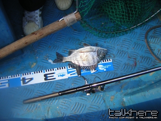 DSCN5566.JPG
