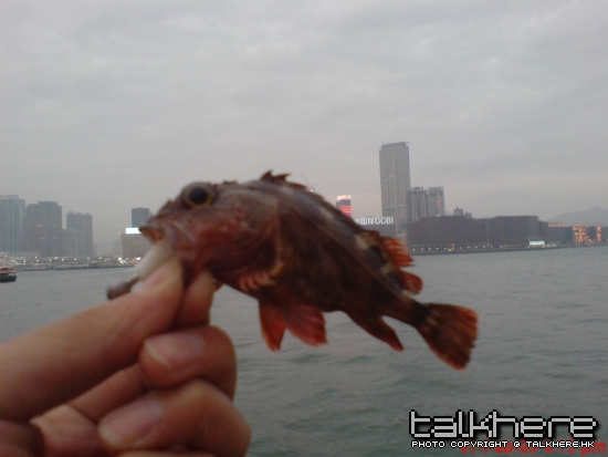DSC01105.JPG
