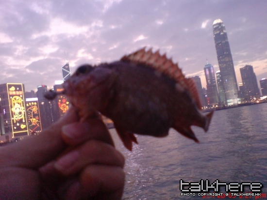 DSC01112.JPG