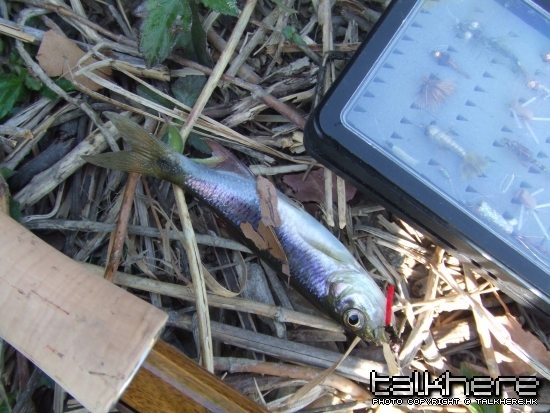 DSCF4337.JPG