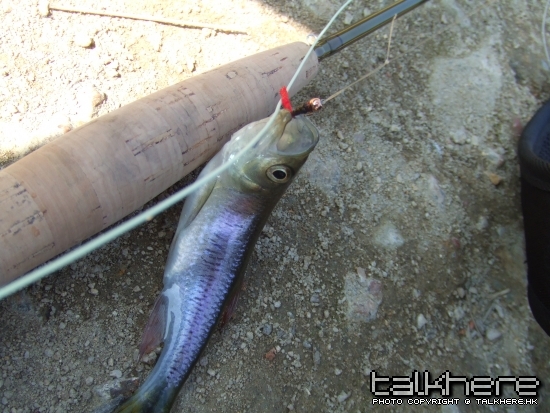 DSCF4338.JPG