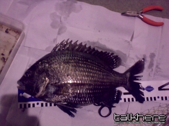 08022009043.jpg