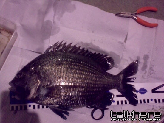 08022009044.jpg