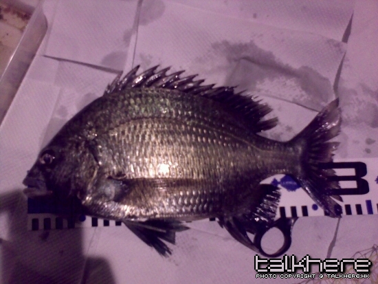 08022009045.jpg