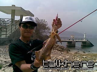 20090212.jpg
