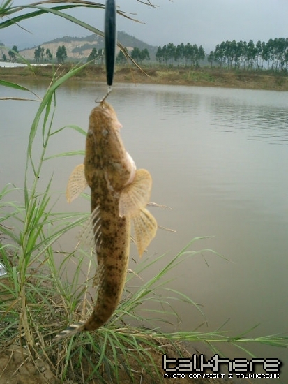 CIMG0005.JPG